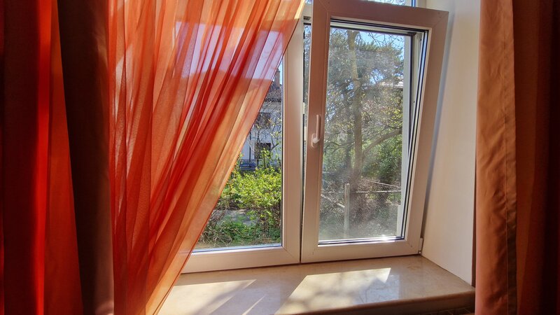 Cotroceni, Gradina Botanica, UMF Carol Davila