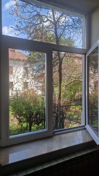 Cotroceni, Gradina Botanica, UMF Carol Davila